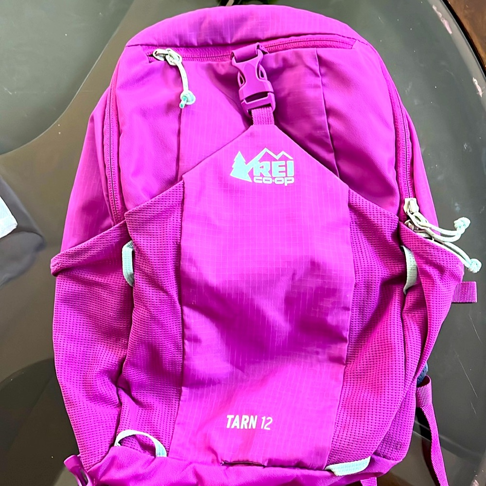 Kids REI Tarn 12 Daypack